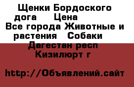 Щенки Бордоского дога.  › Цена ­ 30 000 - Все города Животные и растения » Собаки   . Дагестан респ.,Кизилюрт г.